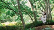 A quiet communion with the ancient green.