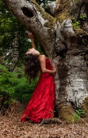 Ancient Bark Meets a Wild Heart.