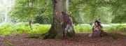 **Beneath Ancient Boughs, a Silent, Primal Guard.**