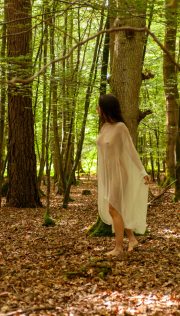 Her Presence, a Whisper in the Ancient Green.
