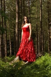 A vibrant echo in the ancient, breathing green