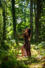 Receiving the Wildwood's Luminous, Ancient Breath