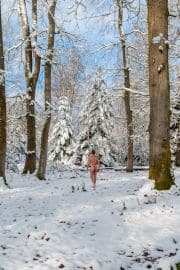 Stepping Softly, Where the Old World Whispers in Snow.