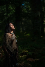 Sunlight's Grace in the Wildwood's Deep Embrace