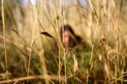 Sunlit Grass Hides an Listening Heart