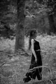 The Forest's Shadow, a Soul's Reflection.