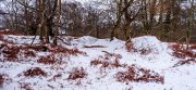 The Stillness Where Ancient Whispers Linger