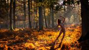 The Wildwood's Golden Whisper, a Silent Dance