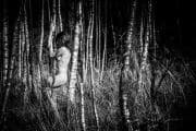The forest's mirror, reflecting a forgotten self.