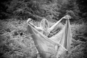 Veiled in Wildwood light, a spirit's quiet awakening.