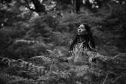 Whispers of the Wildwood, a Soul's Deep Listening.