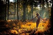 **Wildwood's Golden Breath, a Quiet Awakening.**